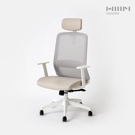 HANSSEM BODYFIT Ergonomic Office Desk Chair 2Color – Adjustable Headrest, S-Shaped Backrest, Breathable Mesh & Water-Repellent Fabric, Quiet Casters, BIFMA Certified _ Made in KOREA